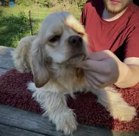 processed/0fd3e535-8fd1-4416-baf1-626b16fee227/listing/2e355cd4-29e2-4e70-9e3e-d6aa8ca75cd4/fa4b5f82-2d81-409b-a83a-bd66be5d204a