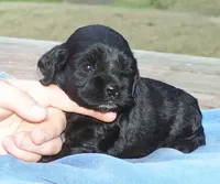 processed/0fd3e535-8fd1-4416-baf1-626b16fee227/listing/30dd4fa1-392f-4e69-82dc-4a9c0266c125/4333ad2a-8cf6-480b-9074-d1039a83d931