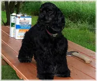 processed/0fd3e535-8fd1-4416-baf1-626b16fee227/listing/30dd4fa1-392f-4e69-82dc-4a9c0266c125/43fab499-a065-471e-b534-b8ca757ce594