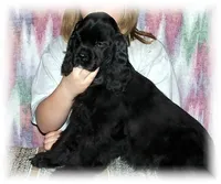 processed/0fd3e535-8fd1-4416-baf1-626b16fee227/listing/30dd4fa1-392f-4e69-82dc-4a9c0266c125/6efc3c24-c7f1-447e-b596-209e7bb2cbfb