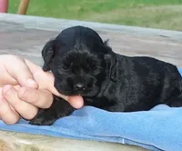 processed/0fd3e535-8fd1-4416-baf1-626b16fee227/listing/30dd4fa1-392f-4e69-82dc-4a9c0266c125/82db78d0-0f9e-41fd-8cc1-d3286ce6b76d