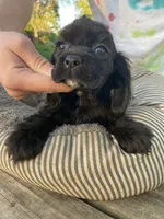 processed/0fd3e535-8fd1-4416-baf1-626b16fee227/listing/30dd4fa1-392f-4e69-82dc-4a9c0266c125/8ef9e7ae-d9e4-4a94-9ebf-ef69f38f5dc4