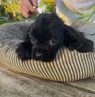 processed/0fd3e535-8fd1-4416-baf1-626b16fee227/listing/30dd4fa1-392f-4e69-82dc-4a9c0266c125/c056c7c2-3443-4049-b8b1-bd8f30d9591b