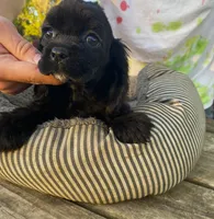 processed/0fd3e535-8fd1-4416-baf1-626b16fee227/listing/30dd4fa1-392f-4e69-82dc-4a9c0266c125/c47f2ef7-8828-4bc5-b706-327a02c5eb9b