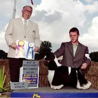 Choc/Wht Parti/Roan Female, a female Cocker Spaniel for sale in Brainerd, MN – Photo 6 of 7