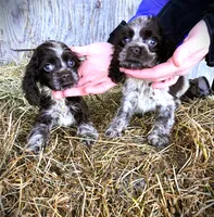 processed/0fd3e535-8fd1-4416-baf1-626b16fee227/listing/7e0ef280-ee83-46dc-938d-43895e62edf7/6732045f-fb68-4ca3-9d81-4e46c11f55f8