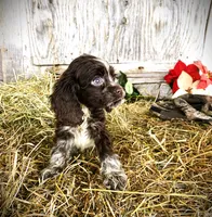 processed/0fd3e535-8fd1-4416-baf1-626b16fee227/listing/7e0ef280-ee83-46dc-938d-43895e62edf7/e6981794-e996-47df-89bc-cb7e3d98fc86