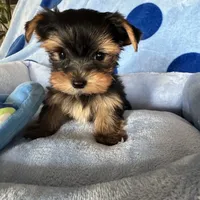 processed/0fdd2108-6f61-4013-a789-f414358095a2/facility/27481c2a-ee69-4c37-b49f-8a0ffe099d30