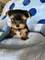 processed/0fdd2108-6f61-4013-a789-f414358095a2/facility/27481c2a-ee69-4c37-b49f-8a0ffe099d30