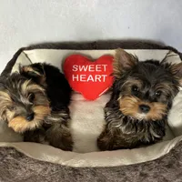 processed/0fdd2108-6f61-4013-a789-f414358095a2/facility/2c418aac-354b-4bad-950a-560f87168a39