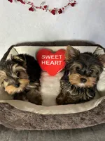 processed/0fdd2108-6f61-4013-a789-f414358095a2/facility/2c418aac-354b-4bad-950a-560f87168a39