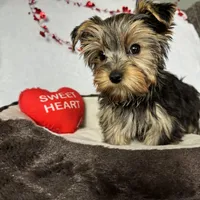 processed/0fdd2108-6f61-4013-a789-f414358095a2/facility/46e2f19f-e316-42e2-ba96-cd2823430e9e