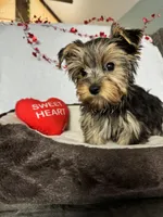 processed/0fdd2108-6f61-4013-a789-f414358095a2/facility/46e2f19f-e316-42e2-ba96-cd2823430e9e