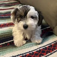 processed/0fdd2108-6f61-4013-a789-f414358095a2/facility/4e277392-f584-47ed-86a3-c7b340fec807