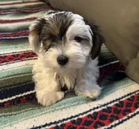 processed/0fdd2108-6f61-4013-a789-f414358095a2/facility/4e277392-f584-47ed-86a3-c7b340fec807