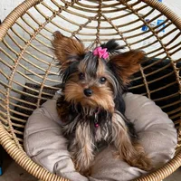 processed/0fdd2108-6f61-4013-a789-f414358095a2/facility/85c7f747-b8a4-439e-b0ac-f7d3fefd5855