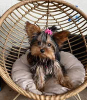 processed/0fdd2108-6f61-4013-a789-f414358095a2/facility/85c7f747-b8a4-439e-b0ac-f7d3fefd5855