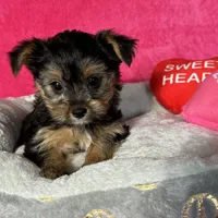 processed/0fdd2108-6f61-4013-a789-f414358095a2/facility/c0d8a768-8c1b-4372-a69b-48f25fa91d59