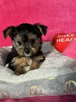 processed/0fdd2108-6f61-4013-a789-f414358095a2/facility/c0d8a768-8c1b-4372-a69b-48f25fa91d59