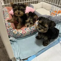 processed/0fdd2108-6f61-4013-a789-f414358095a2/facility/ccac3dff-3bc7-4862-9101-ebd587f9de22