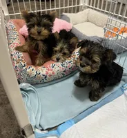 processed/0fdd2108-6f61-4013-a789-f414358095a2/facility/ccac3dff-3bc7-4862-9101-ebd587f9de22