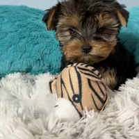 processed/0fdd2108-6f61-4013-a789-f414358095a2/facility/d053518e-7a47-4f14-b610-a2c3da002d49