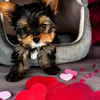 processed/0fdd2108-6f61-4013-a789-f414358095a2/facility/da3439eb-8b08-4bfd-9548-3a7ef558a226