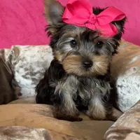 processed/0fdd2108-6f61-4013-a789-f414358095a2/facility/e4f9c87e-e2d5-4882-9976-5241f16e9b2d