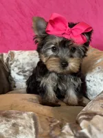 processed/0fdd2108-6f61-4013-a789-f414358095a2/facility/e4f9c87e-e2d5-4882-9976-5241f16e9b2d