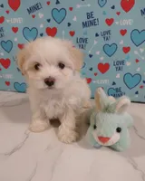 processed/0fdd2108-6f61-4013-a789-f414358095a2/listing/dbae3ea4-9eb9-472e-b777-7208f9d8e2e2/0c9b7b1e-e1b8-4208-9f7f-2ebd2f56f2e0