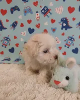 processed/0fdd2108-6f61-4013-a789-f414358095a2/listing/dbae3ea4-9eb9-472e-b777-7208f9d8e2e2/81e23faa-78d9-4572-a085-7490c238a755