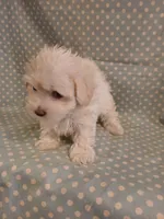 processed/0fdd2108-6f61-4013-a789-f414358095a2/listing/dbae3ea4-9eb9-472e-b777-7208f9d8e2e2/81f0b3a5-bd67-47fb-8c80-1b2d89c15e09