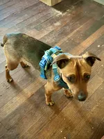 processed/0fdd3e71-c9f9-45b3-941c-01eb64796248/listing/7a38ada4-710e-4c35-9f62-2d07fb81bb15/9a3ddf4b-51b9-4785-ad26-3fe525fdd5c3