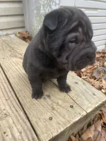 processed/0fe5400a-7846-4ea4-b68c-c5381121826f/listing/2f4c01b4-ea41-4deb-9087-d50b239bb25f/240e62f3-c4e0-4f3f-89aa-a41183c9d28f