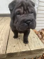 processed/0fe5400a-7846-4ea4-b68c-c5381121826f/listing/2f4c01b4-ea41-4deb-9087-d50b239bb25f/3f6b3280-d21d-43f4-a588-29ad7f40e231