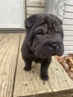 processed/0fe5400a-7846-4ea4-b68c-c5381121826f/listing/2f4c01b4-ea41-4deb-9087-d50b239bb25f/5c9b4f85-ab9c-449e-82ec-d00cd3c40356