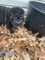 processed/0fe5400a-7846-4ea4-b68c-c5381121826f/listing/653a463e-fd9c-42ba-aac5-d2c63947ceca/112a2492-45cb-49af-bbd7-29629a90a566