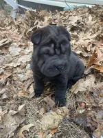 processed/0fe5400a-7846-4ea4-b68c-c5381121826f/listing/653a463e-fd9c-42ba-aac5-d2c63947ceca/2718cdd6-6315-484c-8214-fda468a12a3a