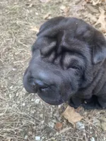 processed/0fe5400a-7846-4ea4-b68c-c5381121826f/listing/653a463e-fd9c-42ba-aac5-d2c63947ceca/5d46e9ef-feeb-4bc6-9310-1eea66808702