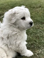 processed/0ff59a48-0713-4b6f-9946-2a8e1d2faa68/listing/6ea69283-de42-4d0d-95ae-20f3153d334c/1b6ff115-f163-44aa-8f65-c0e732b03b7c