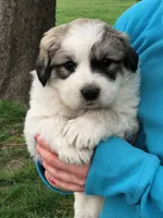 processed/0ff59a48-0713-4b6f-9946-2a8e1d2faa68/listing/6ea69283-de42-4d0d-95ae-20f3153d334c/4822c9be-db00-4cf6-b64a-eb411013b775