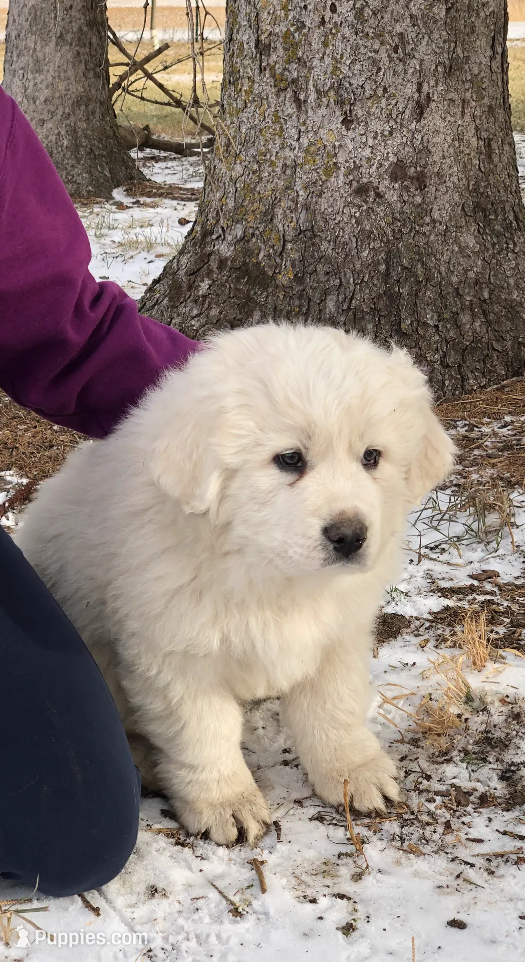 processed/0ff59a48-0713-4b6f-9946-2a8e1d2faa68/listing/6ea69283-de42-4d0d-95ae-20f3153d334c/5cab5478-cee1-4dc7-9430-ad1484e893be