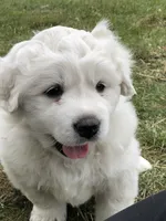 processed/0ff59a48-0713-4b6f-9946-2a8e1d2faa68/listing/6ea69283-de42-4d0d-95ae-20f3153d334c/c5d5e243-a53e-44c4-ba95-f33fcffd1b3c