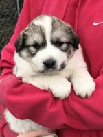 processed/0ff59a48-0713-4b6f-9946-2a8e1d2faa68/listing/73b65b68-9ac2-46da-9497-b4ee79d2559d/431614ae-5724-4eca-b37f-dd76db796ab4