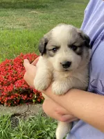 processed/0ff59a48-0713-4b6f-9946-2a8e1d2faa68/listing/73b65b68-9ac2-46da-9497-b4ee79d2559d/446c21f3-8c8f-42be-a882-78f4fc7fd574