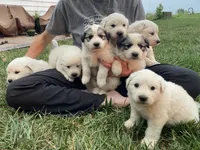 processed/0ff59a48-0713-4b6f-9946-2a8e1d2faa68/listing/73b65b68-9ac2-46da-9497-b4ee79d2559d/84e4b194-b534-4f08-899b-72c5d74095ce