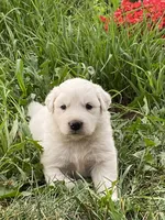 processed/0ff59a48-0713-4b6f-9946-2a8e1d2faa68/listing/73b65b68-9ac2-46da-9497-b4ee79d2559d/b3626c15-9cac-4d0e-8597-a0ad3aeb76c7