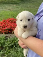 processed/0ff59a48-0713-4b6f-9946-2a8e1d2faa68/listing/73b65b68-9ac2-46da-9497-b4ee79d2559d/bc790113-e113-48b2-b804-e7ddf31e1cbc