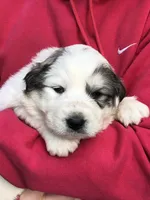 processed/0ff59a48-0713-4b6f-9946-2a8e1d2faa68/listing/73b65b68-9ac2-46da-9497-b4ee79d2559d/dc49244c-e092-4cfb-bd17-412d646a2409