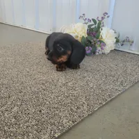 processed/0ff6b034-207c-4b7a-a1ca-4d2cb43e36a5/listing/e410674e-01a8-434d-bd2e-e2acadd946f9/021c72db-4c81-4c86-8519-71bb476bcab0